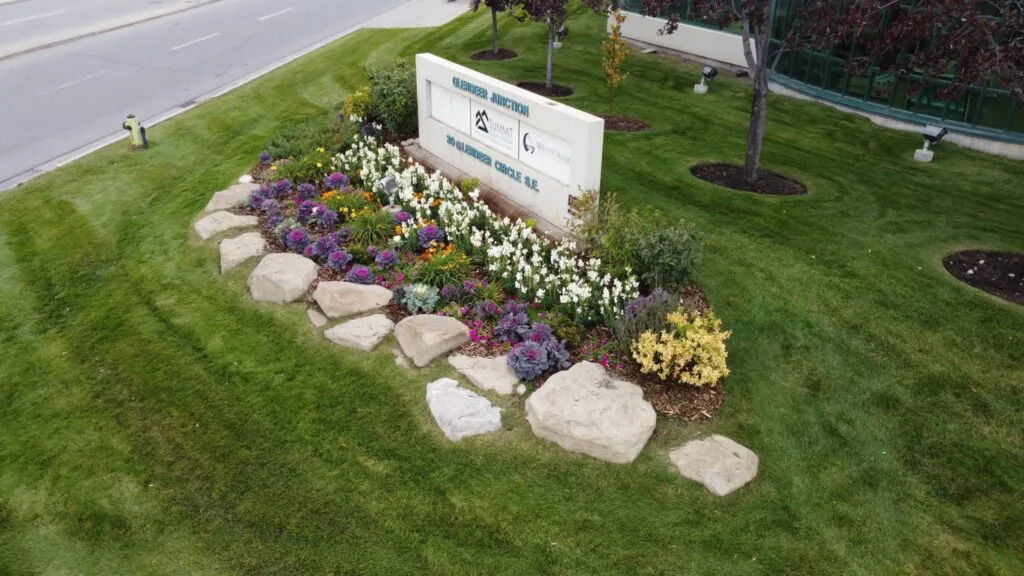Gardens & Plant Care