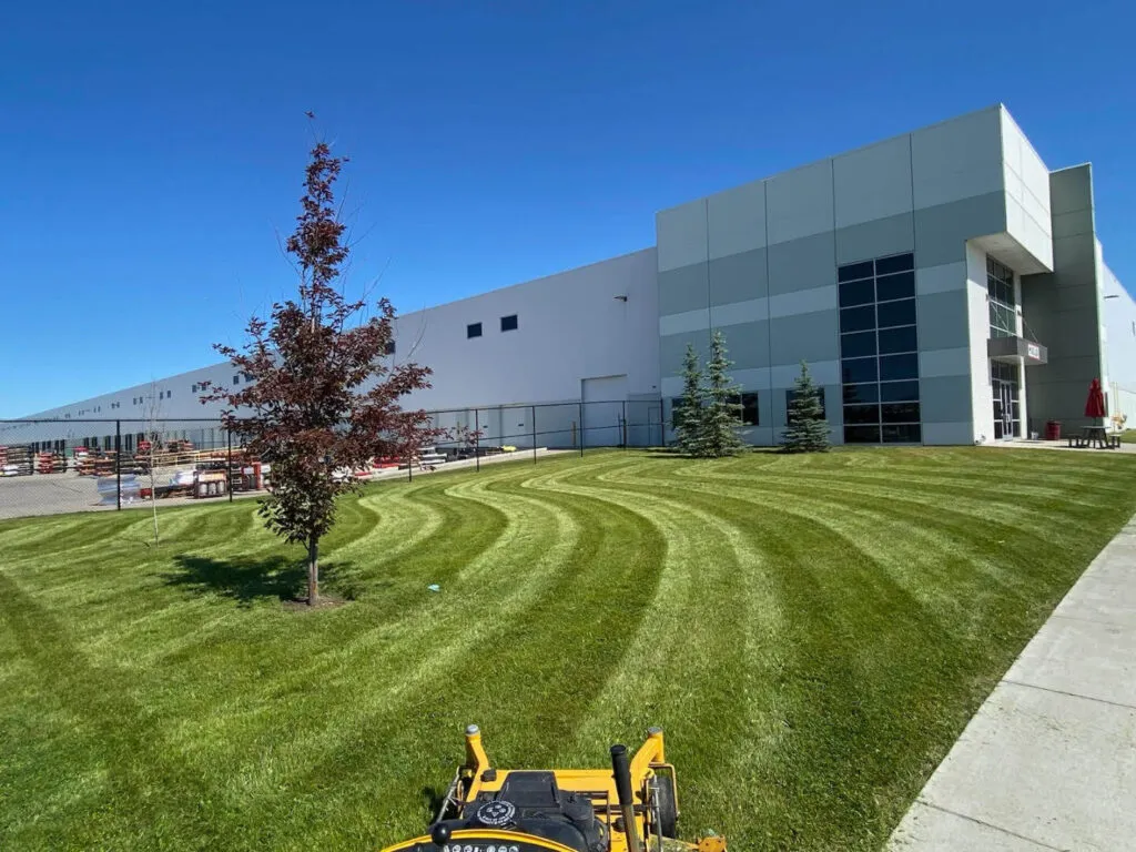 Healthy Lawns & Turf
