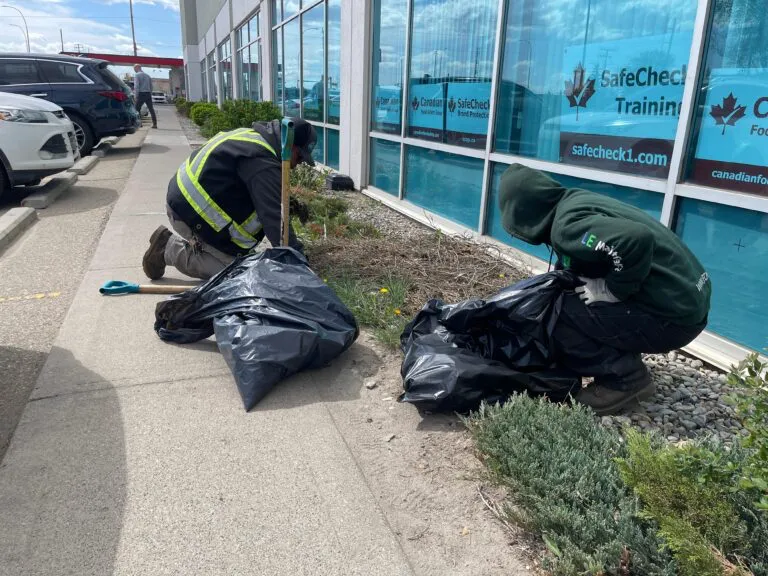 Litter Mitigation