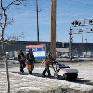 Sidewalk Snow Clearing