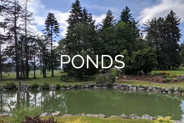 ponds jpg