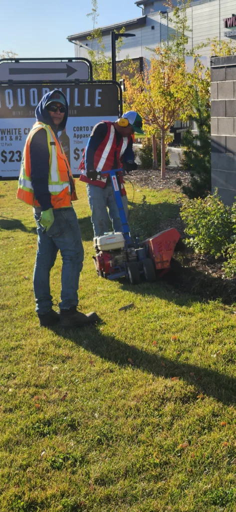 Fall Cleanups Have Begun