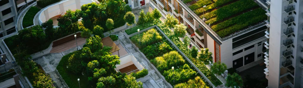 The Benefits of a Green Roof