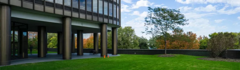 growing green grass in calgary