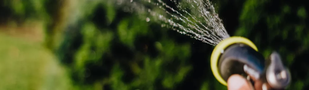Trees Need Watering… in April