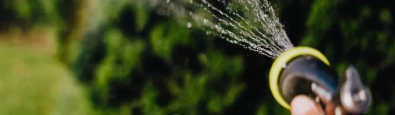 water your trees in april