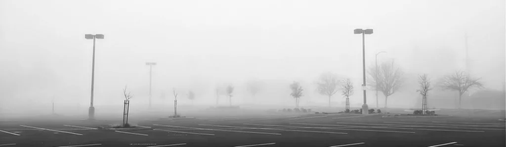 Why Trees Die in Parking Lots and What You Can Do About It