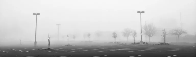 why trees die in parking lots