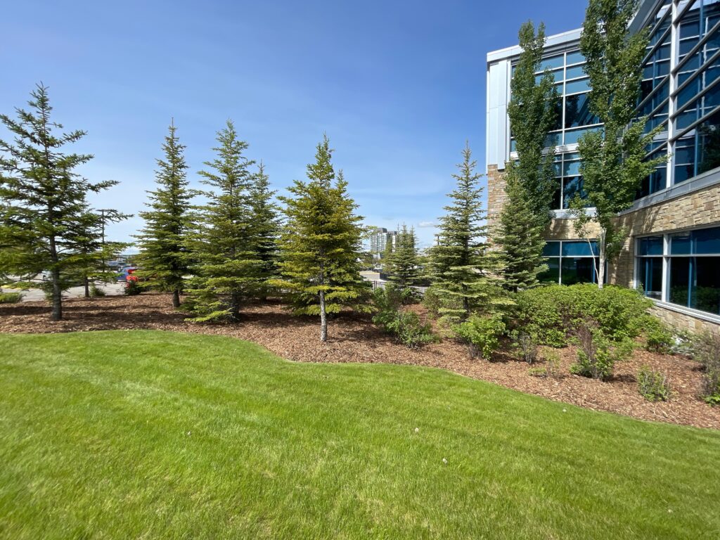 Landscaping Transformations