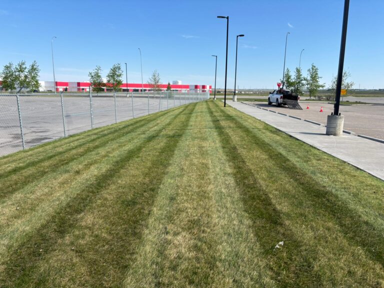 Mowing May 2025