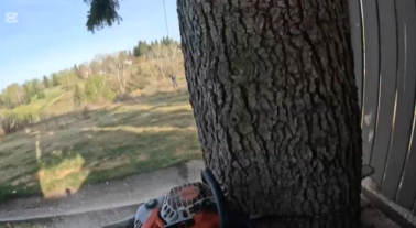 Video First Image