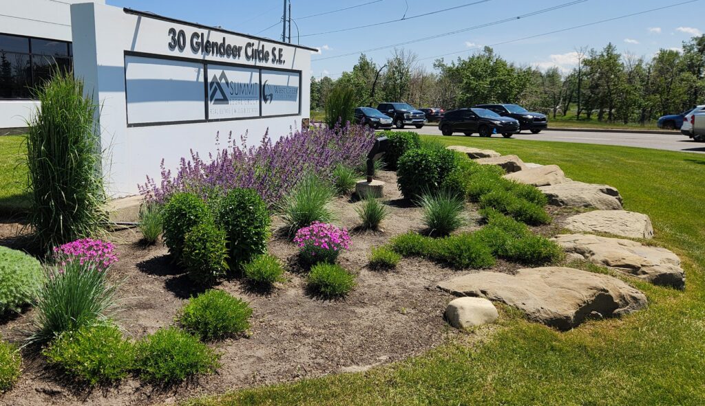 Big changes don’t happen overnight — especially in the landscape.