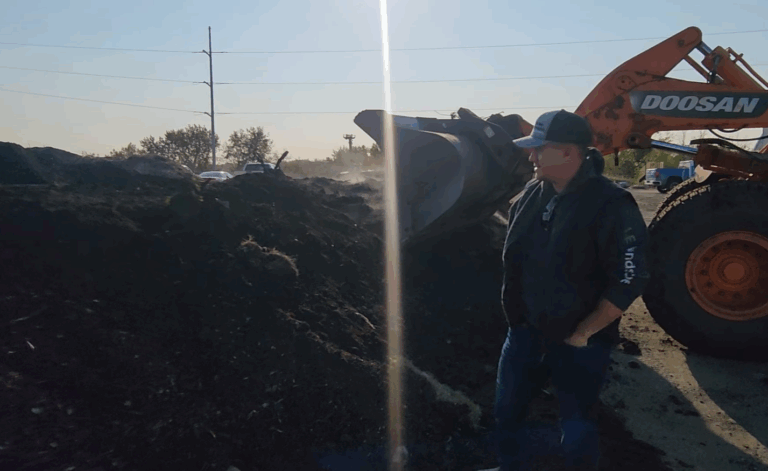 Compost Pile Snap 1