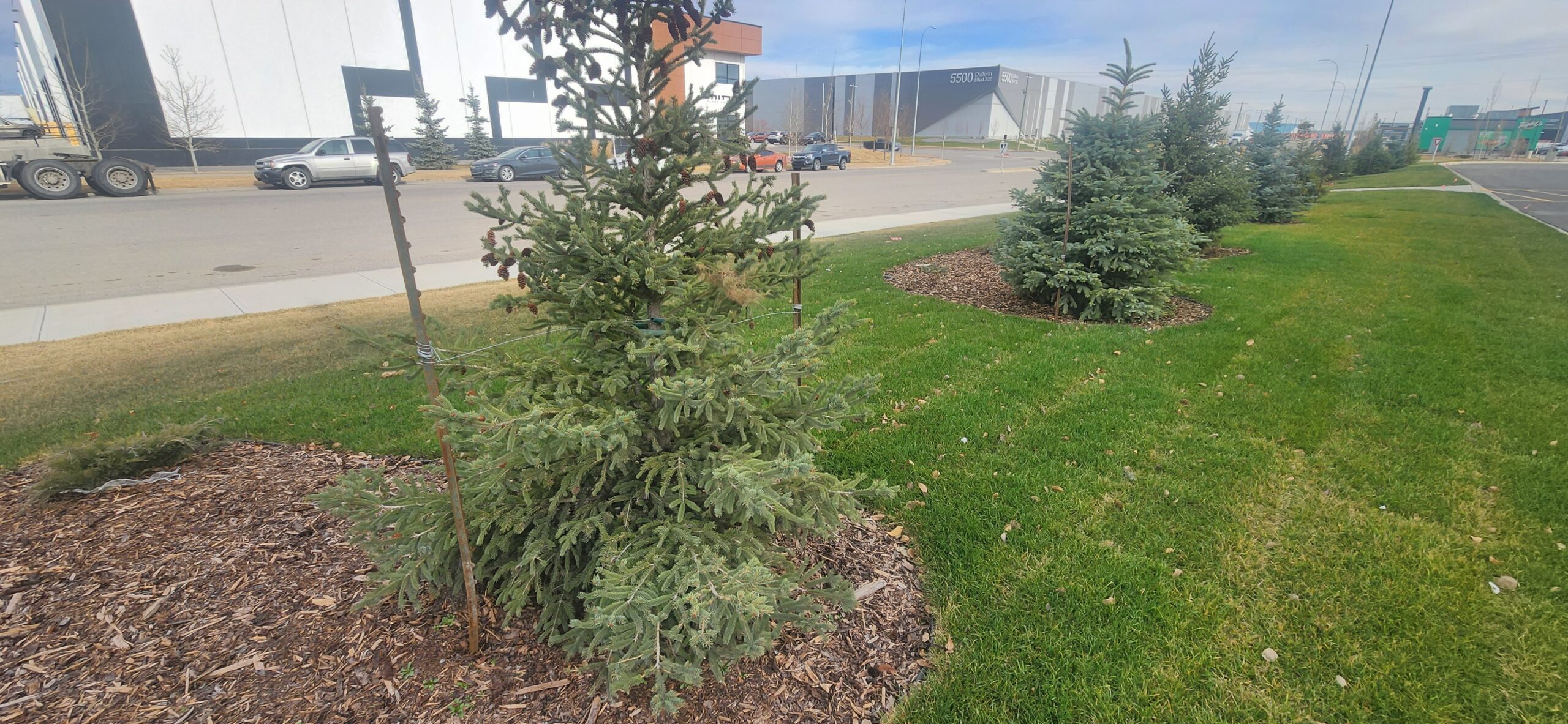 20251113 123603 scaled