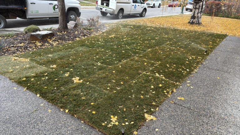 WhatsApp Image 2025 10 27 at 14.53.38 00864593