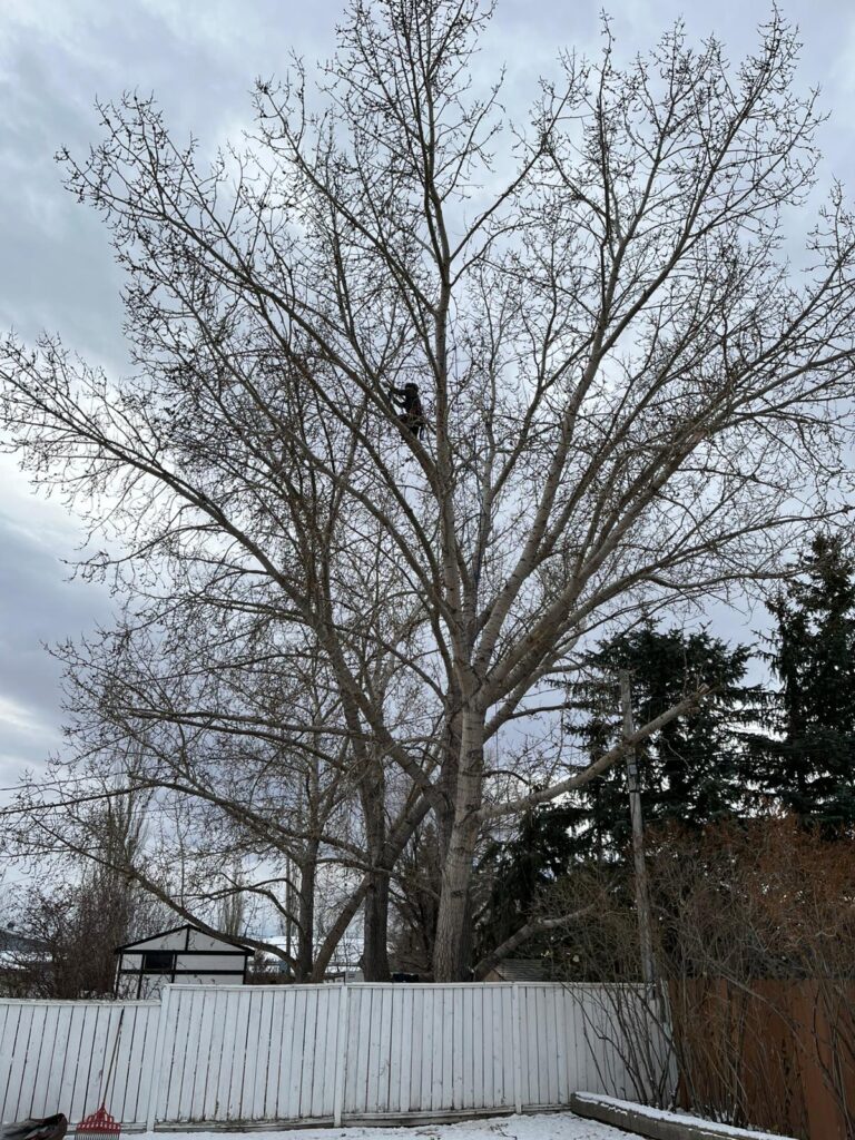 WhatsApp Image 2025 11 21 at 2.00.24 PM 3