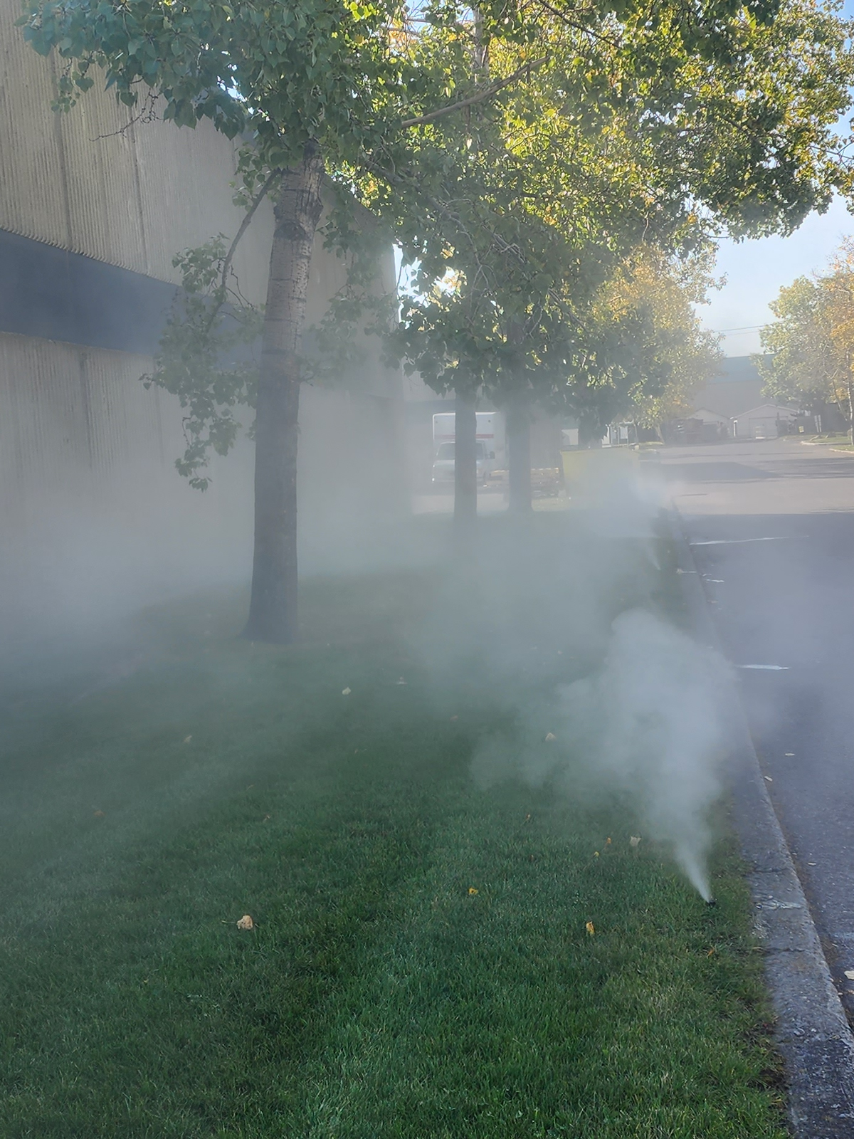 winterization blowouts