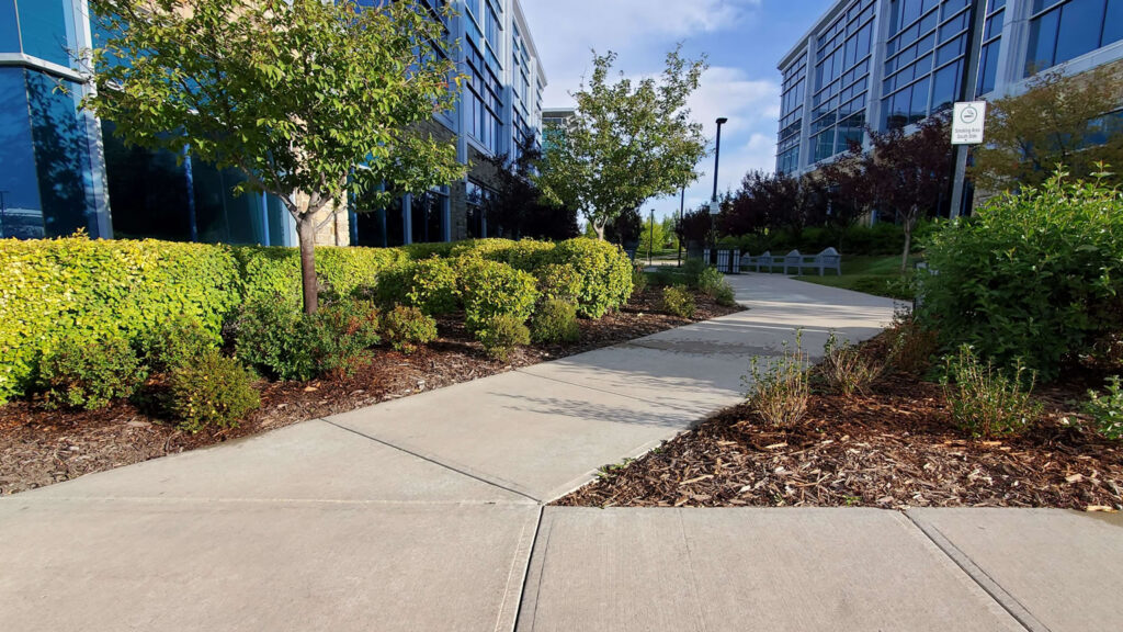 blog enforce the contract