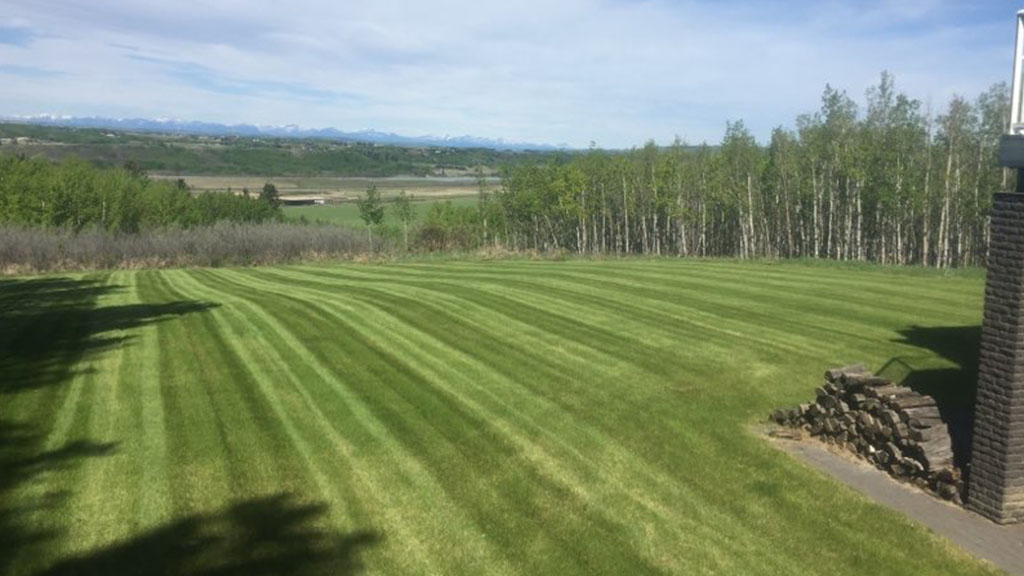 Commercial Lawn Care Tips