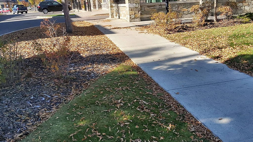 Why Your Landscape and Snow Contracts Keep Underdelivering