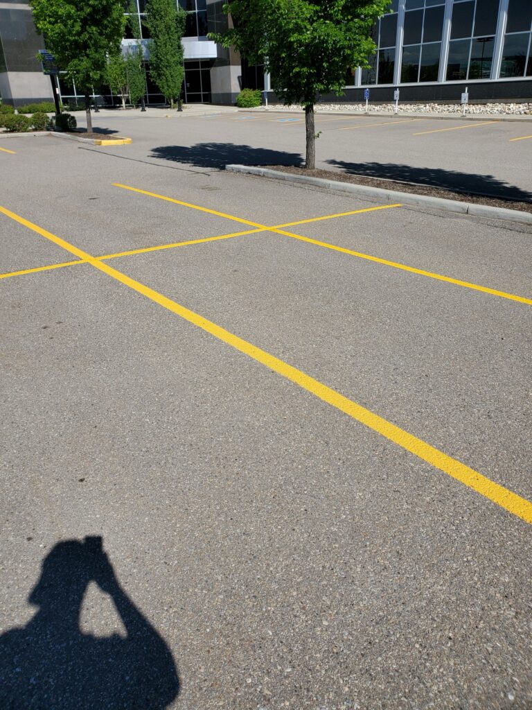 Exterior Site Maintenance