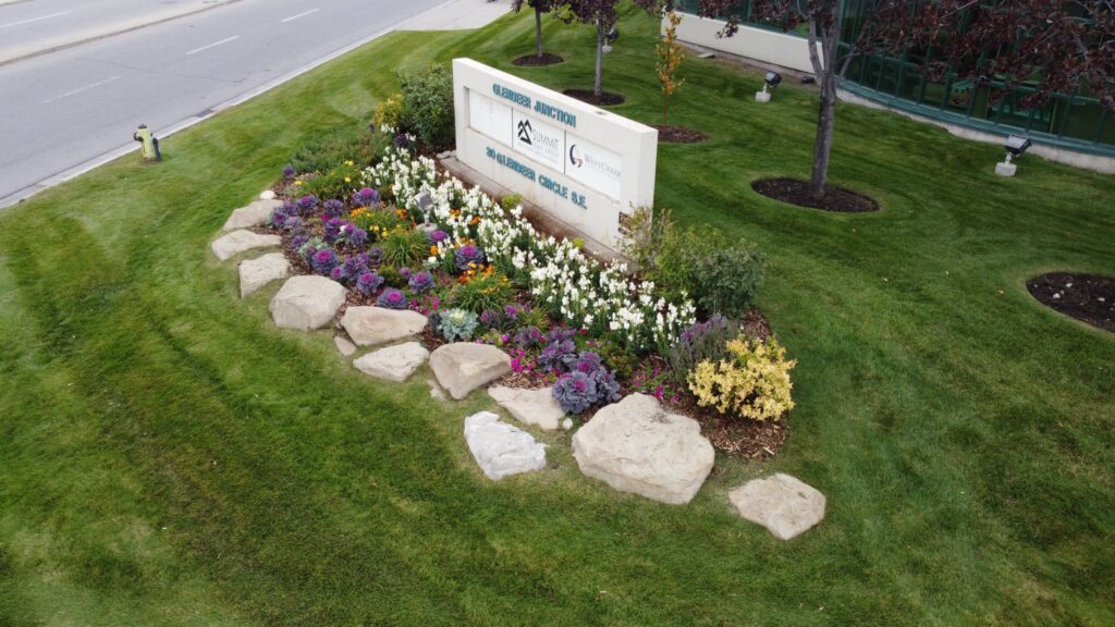 Gardens & Plant Care